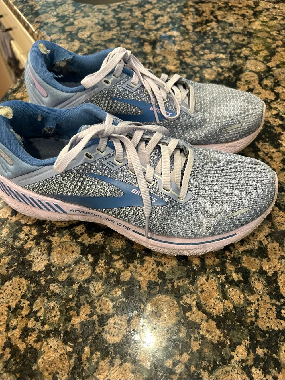 Brooks Adrenaline Shoes
